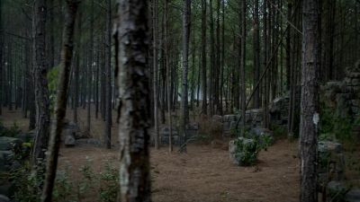 Which one are you
trying to save? - The Vampire Diaries