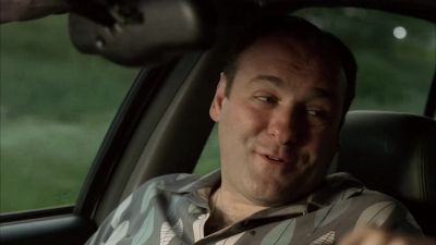 Which one of the 12 steps you on now - The Sopranos