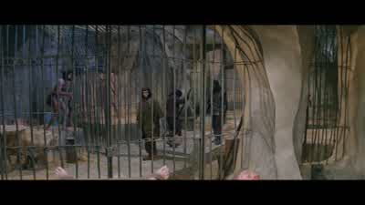 Which one was wearing the strange clothes? - Planet of the Apes