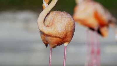 ...which is pretty surprising, - When Nature Calls with Helen Mirren