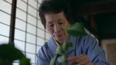 ..which had to be just so... - The Art of Japanese Life