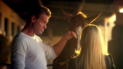 Which is why I stick with horses. - CSI: Miami