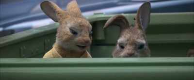 "Which is why I think she's just
got a thing for most man butts." - Peter Rabbit