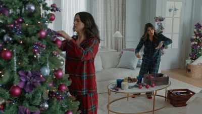 Which is why - Holiday Crashers