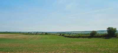 Which this year would not just be filled
with wheat, barley and rape... - Clarkson's Farm