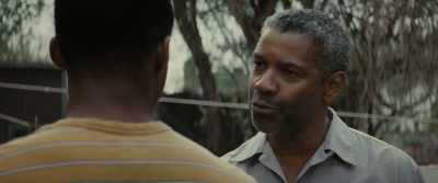 While you be
thinking about a TV, - Fences