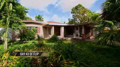 While we book a concrete crew - Zombie House Flipping