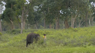 While bringing up Raghu,
we forget about all our other worries. - The Elephant Whisperers