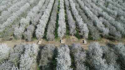 While they can function effectively
when conditions remain stable, - The Green Planet