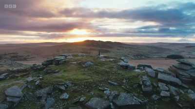 While Chris has lost
a million birds in Cornwall, - Wild Isles