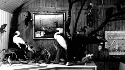 While continuing his work
for the natural history
museum... - Tales From The Explorers Club