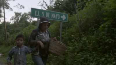 While they did not want
to comment on the child labor - Impact x Nightline