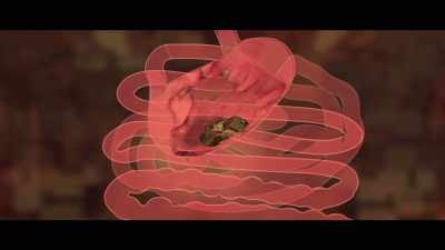 While you eat animal 
flesh every day, - What the Health