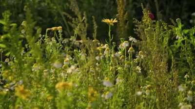 -- While this escape is very much
about getting back to nature, - Extraordinary Escapes with Sandi Toksvig
