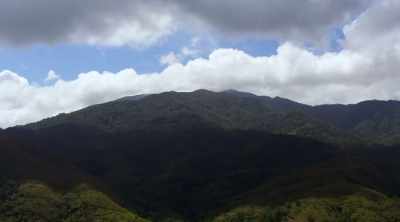 ‐ While exploring a remote cave
at the top of the mountain, - Lost Gold of World War II