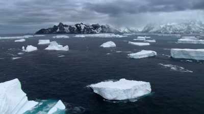 While filming Blue Planet II, - Blue Planet II