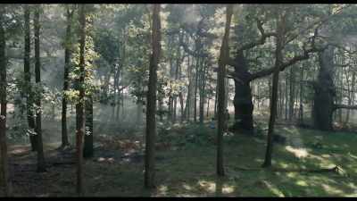While I'm not talking, - Goodbye Christopher Robin