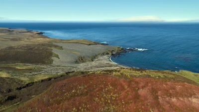 'While in the Southern Hemisphere,
life braces itself - A Year on Planet Earth