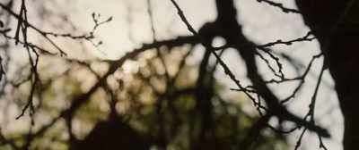 While Jeannie was afraid of the dark... - Boys in the Trees