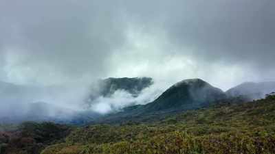 While Leuser's mountainous terrain
offers some natural protection... - Our Great National Parks