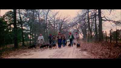 While we made our way along the
dirt road he had been crossing, - The Legend of Boggy Creek