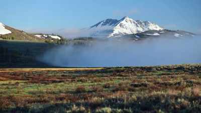 While many species rely on
seasonal migration to escape - Yellowstone: One-Fifty