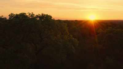 While nighttime brings dangers
for some babies... - Wild Babies