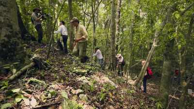 While one of
Francisco's excavation teams - Lost Treasures of the Maya