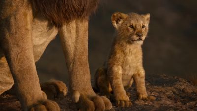 While others search for what they can take - The Lion King