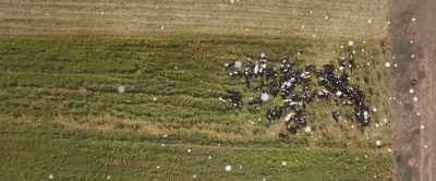 While some livestock practices
offset that damage, - 2040