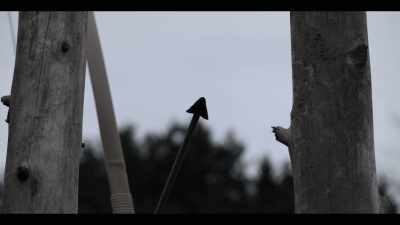 While the arquebuses were reloading, - Age of Samurai: Battle for Japan