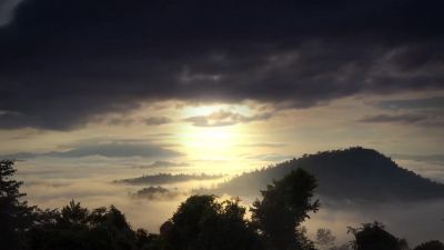 While the caterpillar prepares for another radical change... - Big Beasts