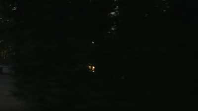While the team
continues the investigation - Expedition Bigfoot