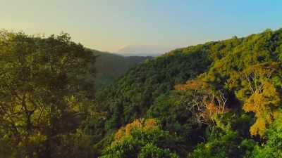 While the year
continues to be challenging for us... - The Year Earth Changed