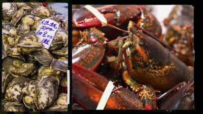 While there might be plenty
of seafood available in the - Restaurants at the End of the World