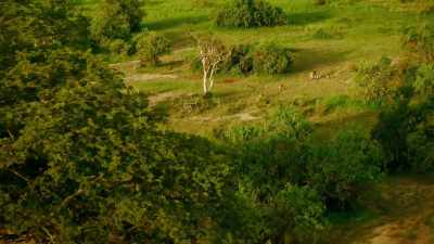While there's breath in her body,
Kali will stop at nothing - Serengeti