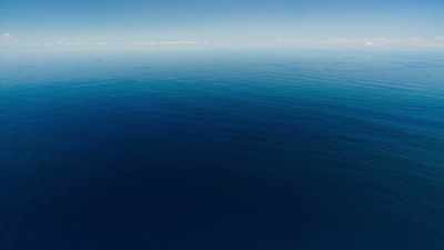 Whilst the dolphins perform
great feats of endurance, - Blue Planet II