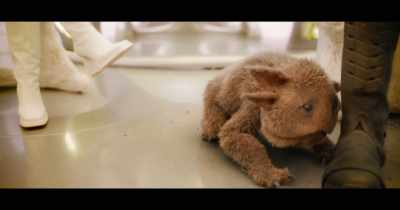 (WHIMPERING) - Guardians of the Galaxy Vol. 3
