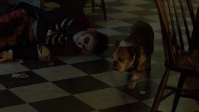 [whimpering] - Gotham