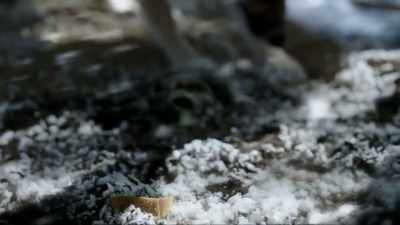 [whimpering] - Dangerous Snow Day