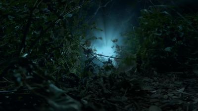 [whimpers, pants] - NCIS: Hawai'i