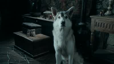 - Impressive.- Shut up. - Game of Thrones