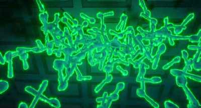 [whimpers, screams] - Plankton: The Movie