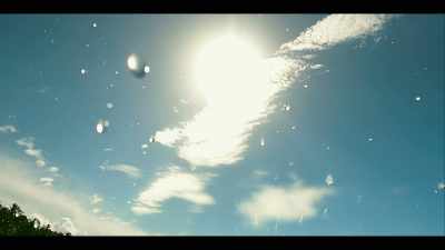 [whimsical music] - Leopard Skin