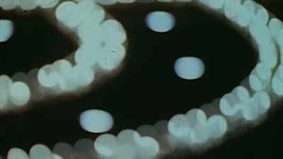 [whimsical music] - Radium Girls
