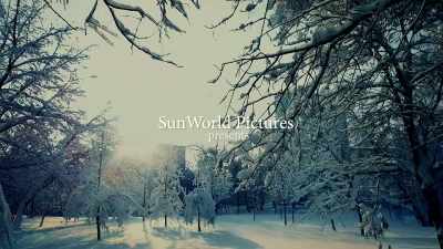 [whimsical orchestral music] - Timeless Love