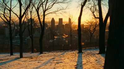 [whimsical orchestral music] - Timeless Love