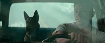 -[whines]
-Hey, look, ain't no shame - Dog