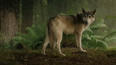 I think I heard a noise. - Game of Thrones