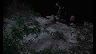[WHINES] - Deadfall
